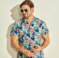 Sunski Dipsea Clear Forest | Dipsea Clear Forest -Fair Harbor CLEARONFIG b91e63bd 110b 4e8f 9531 e38740e756e5